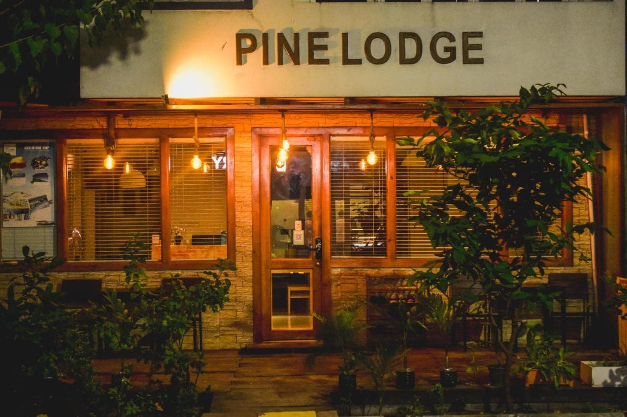 Pine Lodge entrance at dusk, with teak-framed windows, hanging lights, a wooden deck and garden plants